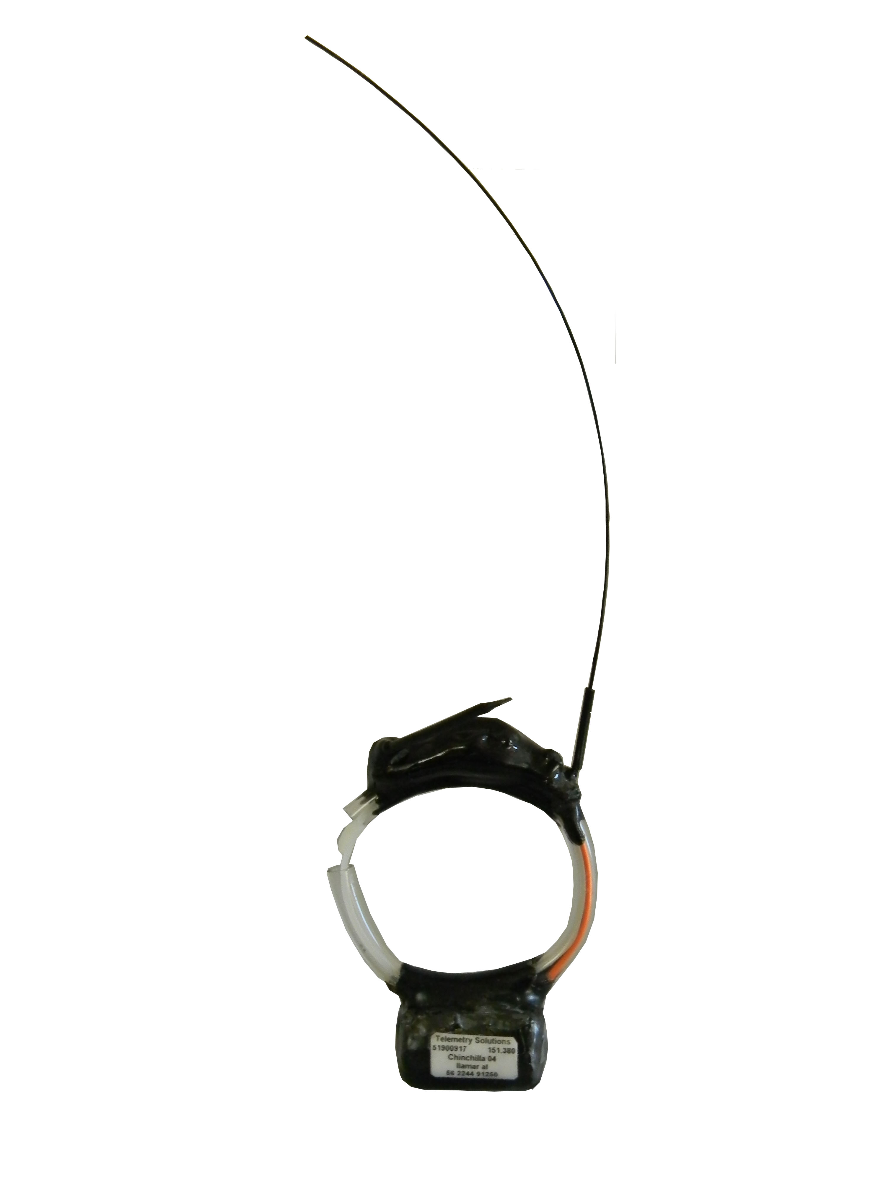 FLR V Collar