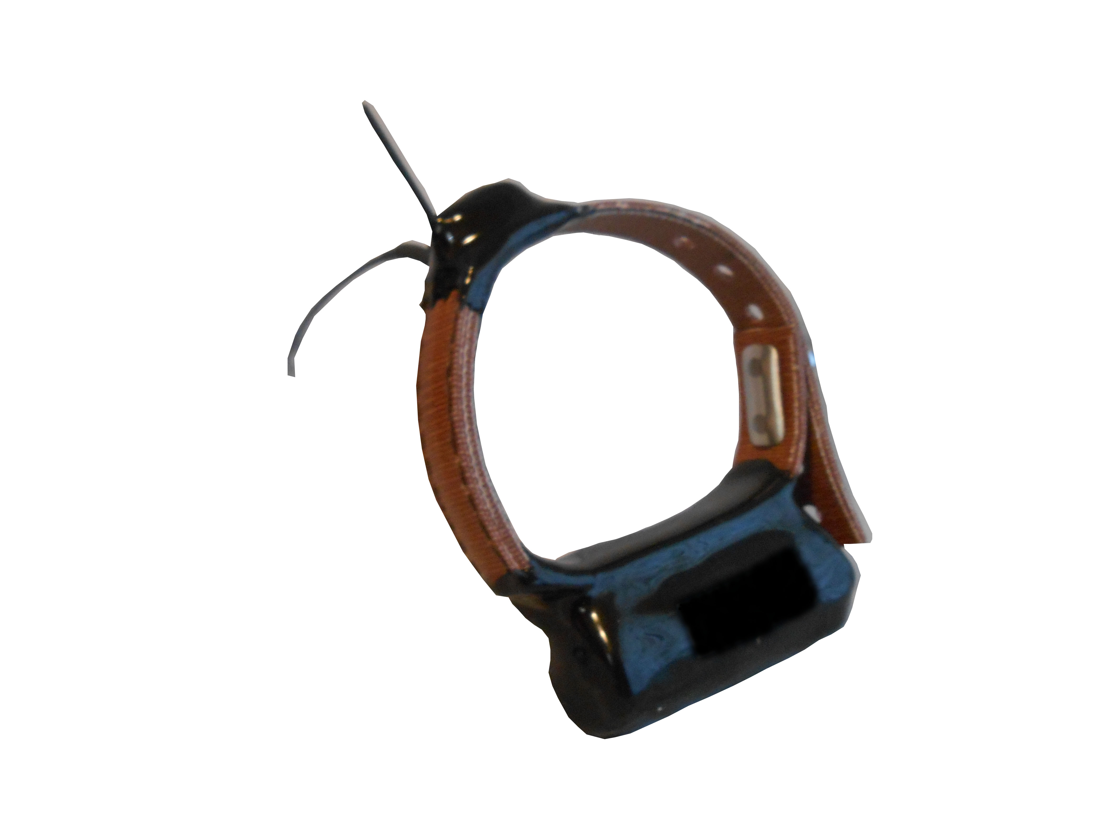 GPS collar