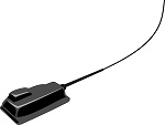GPS implant for snakes