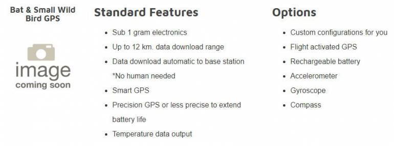 Bat and Small Wild Bird GPS