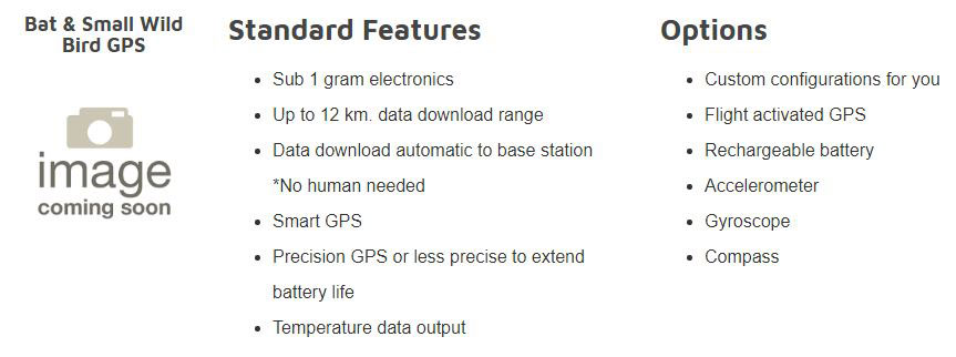 Bat and Small Wild Bird GPS