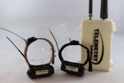 Small GPS Collar