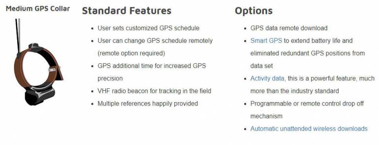 Medium GPS Collar